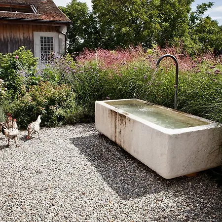 Le Coq Chantant And Boutique