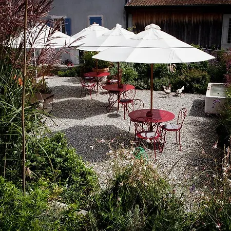 Le Coq Chantant And Boutique 4*