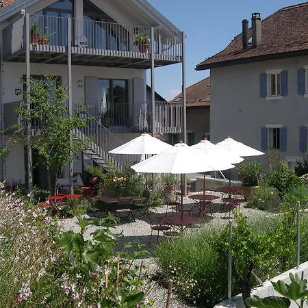 Hotel Le Coq Chantant And Boutique Saint-Livres