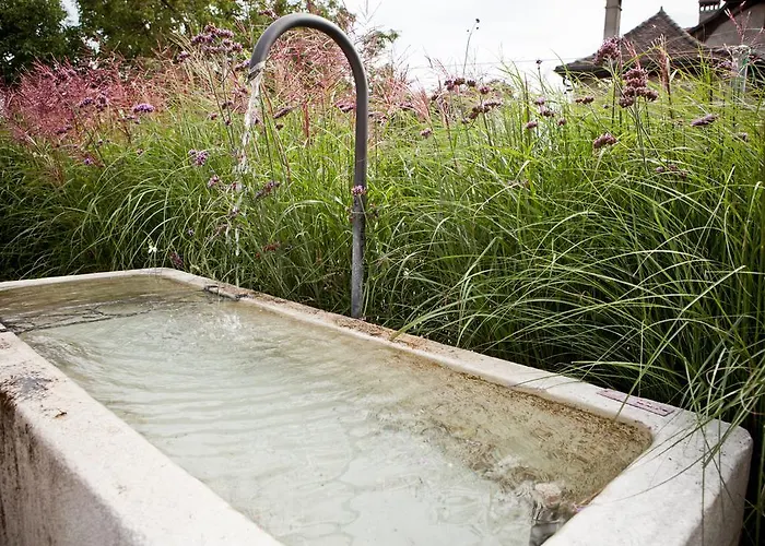 Hotel Le Coq Chantant And Boutique