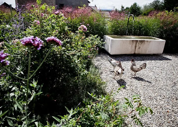 Le Coq Chantant And Boutique