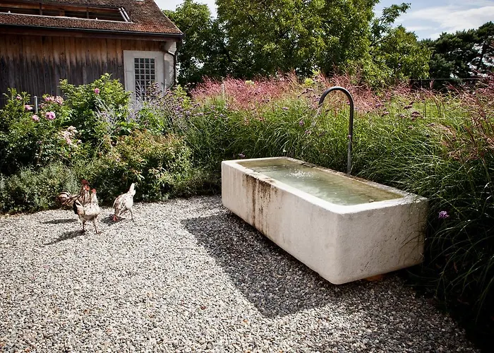 Le Coq Chantant And Boutique