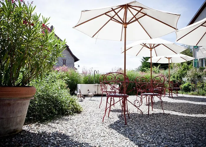 Le Coq Chantant And Boutique